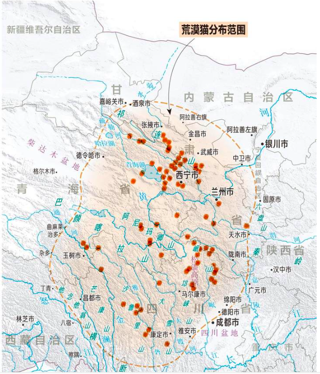 截屏2025-09-15 11.21.16.png