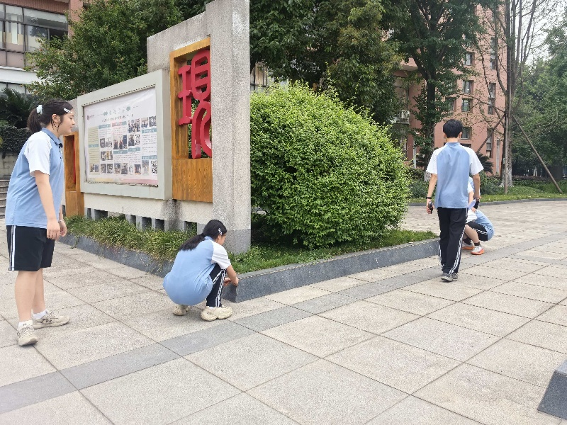 图片6.png