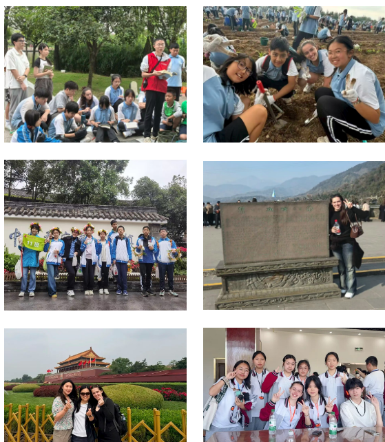 fa7c48c4-4b09-4d9a-96bc-fca6f4c7b59a.png